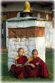 Young Monks