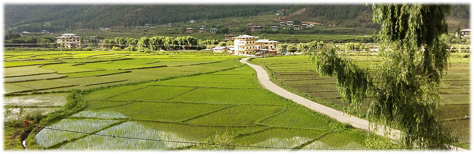 Bhutanese Farmers